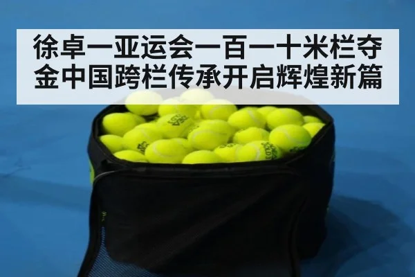 徐卓一亚运会一百一十米栏夺金中国跨栏传承开启辉煌新篇
